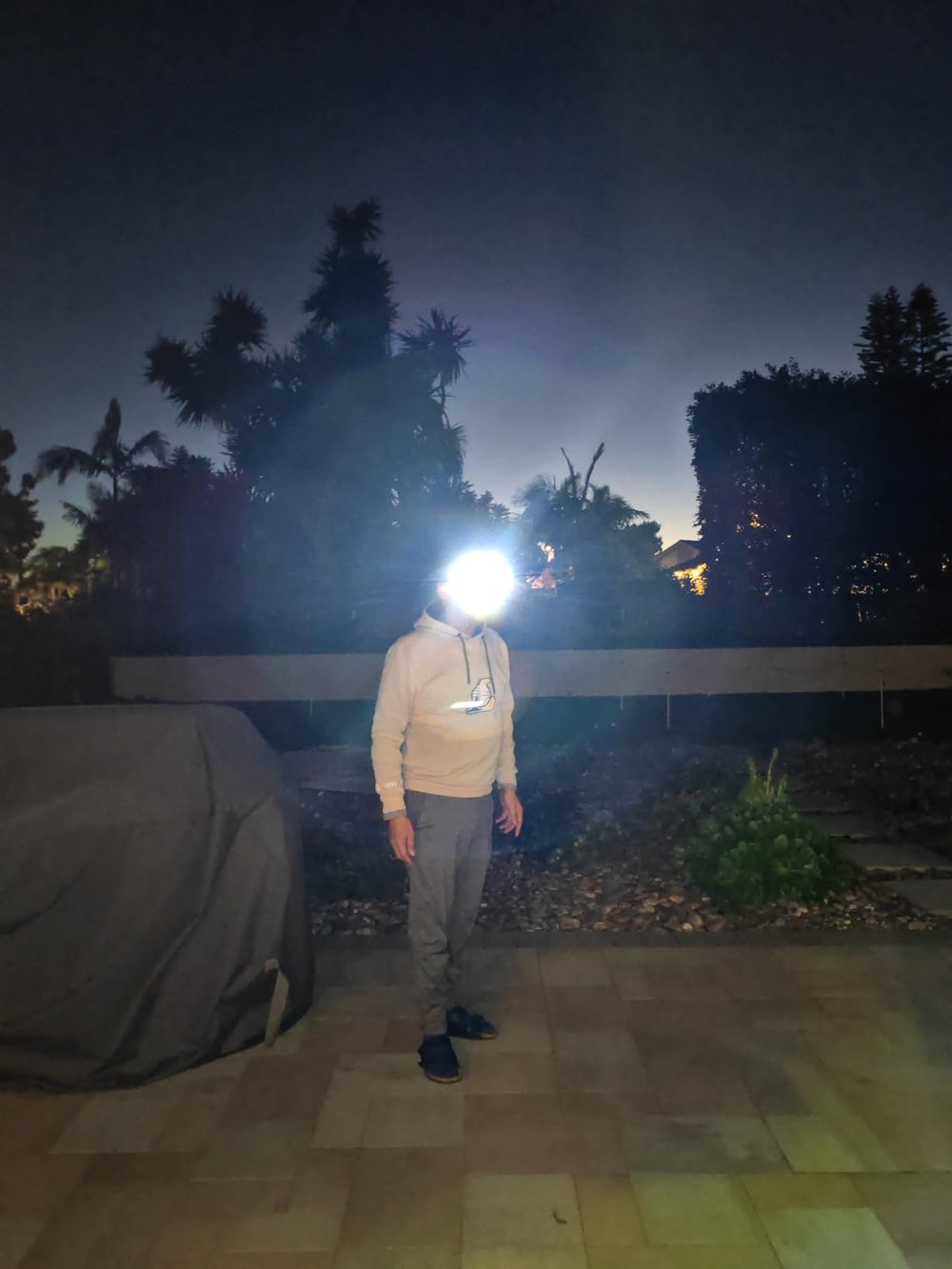 Customer-provided review image